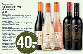 REMA 1000 Ragnatela italiensk rød-, hvid eller rosévin tilbud