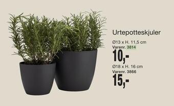 Urtepotteskjuler
