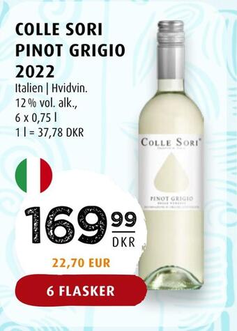 Scandinavian Park Colle sori pinot grigio 2022 tilbud