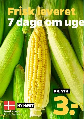 Netto Danske majs tilbud
