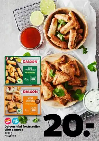 Daloon mini forårsruller eller samosa