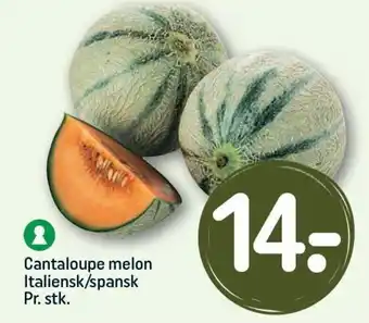 REMA 1000 Cantaloupe melon Italiensk/spansk Pr. stk. tilbud