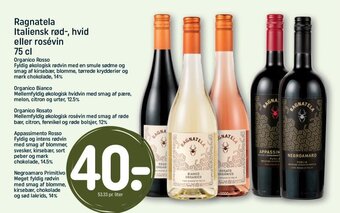 REMA 1000 Ragnatela Italiensk rød-, hvid eller rosévin 75 cl tilbud