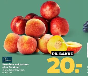 Netto Premieur nektariner tilbud