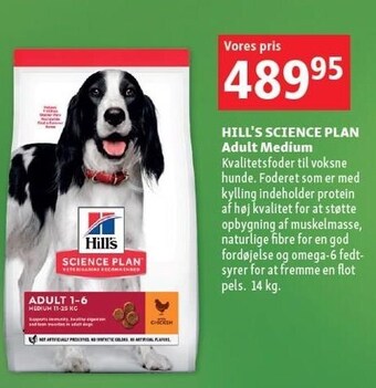 Maxi Zoo Hill's science plan adult medium tilbud
