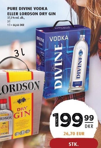 Scandinavian Park PURE DIVINE VODKA ELLER LORDSON DRY GIN tilbud
