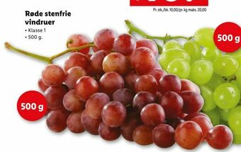 Røde stenfrie vindruer