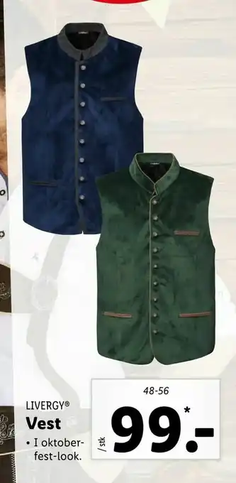 Vest