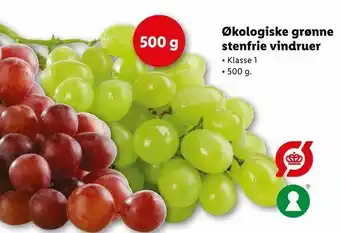 Let-Køb Økologiske grønne stenfrie vindruer tilbud