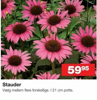 Bauhaus Stauder tilbud