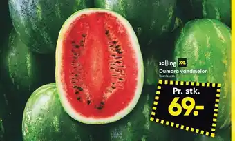 Bilka Dumara vandmelon Udenlandsk. tilbud