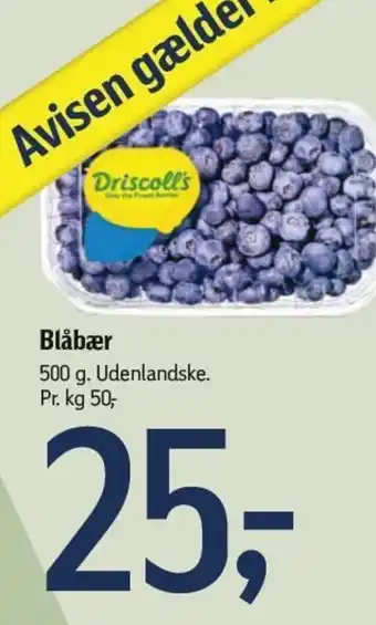 Føtex Blåbær 500 g. tilbud