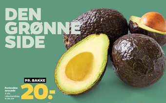 Netto Formodne avocado tilbud