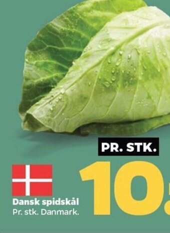 Netto Dansk spidskål tilbud