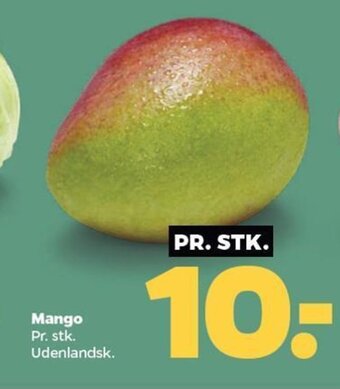 Netto Mango tilbud