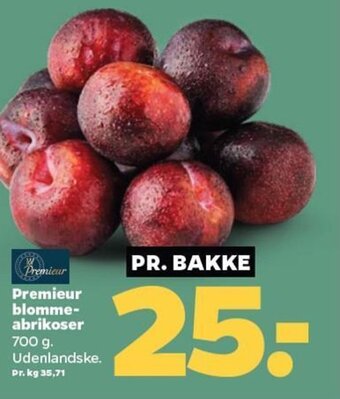 Netto Premieur Blomme-Abrikoser tilbud