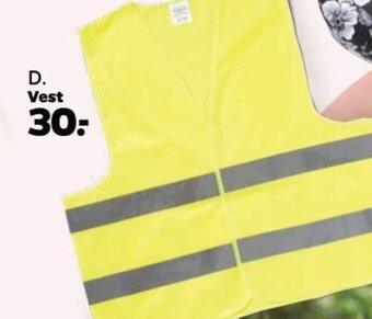 Vest