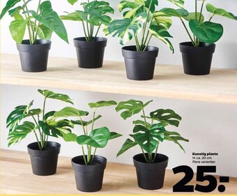 Kunstig plante H: ca. 20 cm. Flere varianter.