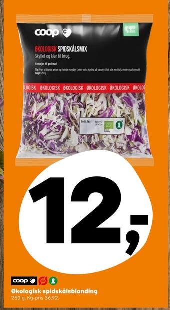 Kvickly Økologisk spidskålsblanding tilbud