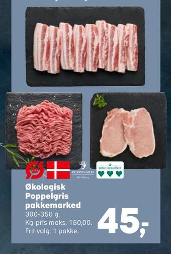 Økologisk poppelgris pakkemarked