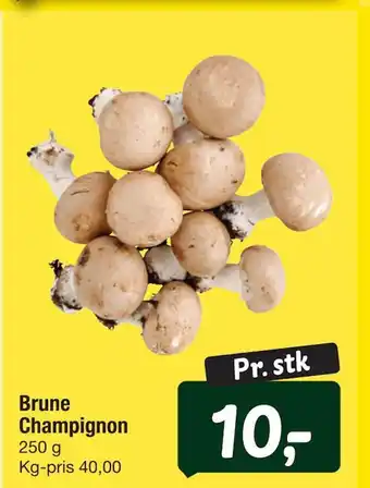 Brune champignon