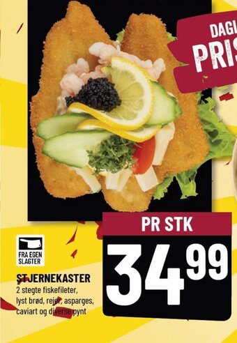Løvbjerg STJERNEKASTER tilbud