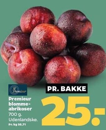 Netto Premieur blommeabrikoser tilbud