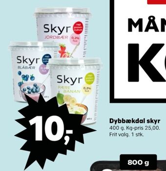 Kvickly Dybbækdal skyr blåbær tilbud