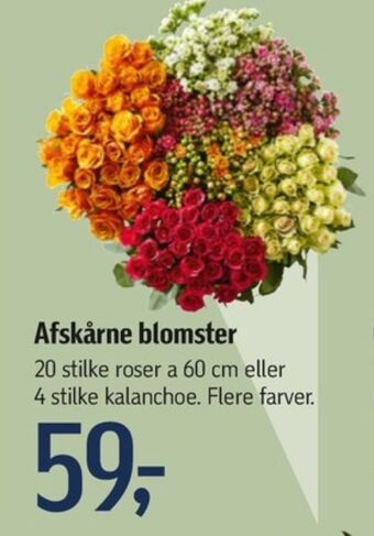 Føtex Ukendt buket tilbud