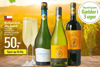 Føtex Ukendt chilensk rødvin tilbud