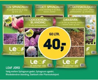XL-BYG Leaf spagnum tilbud