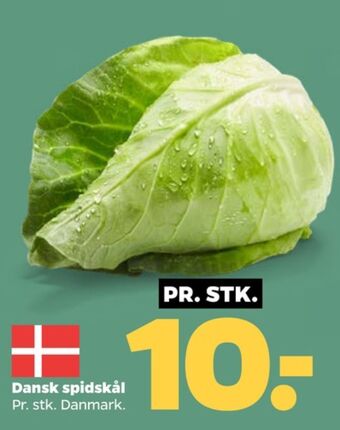 Netto Ukendt spidskål tilbud