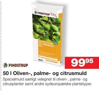Bauhaus 50 | Oliven-, palme- og citrusmuld tilbud