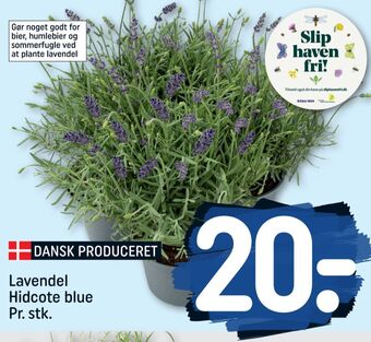 REMA 1000 Ukendt planter tilbud