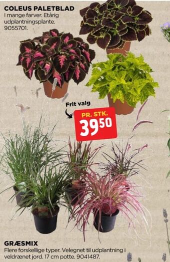 jem & fix Ukendt planter tilbud