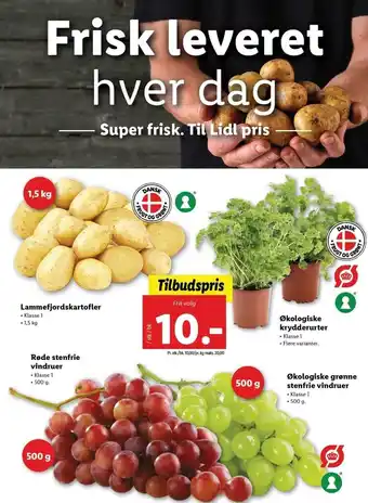 Lidl Lammefjordskartofler 1,5 kg, Røde Stenfrie Vindruer 500g, økologiske Krydderurter , økologiske Grønne Stenfrie Vindruer 500g tilbud