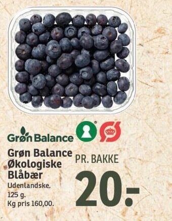 SPAR Grøn Balance Økologiske Blåbær tilbud