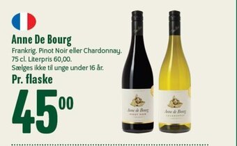 Anne De Bourg