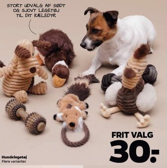 Hundelegetøj Flere varianter.