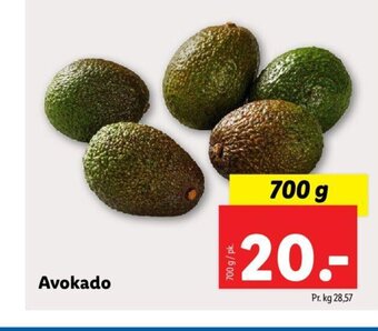 Lidl Avokado tilbud