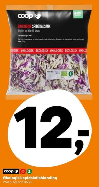 SuperBrugsen Økologisk spidskålsblanding tilbud