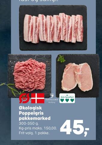 SuperBrugsen Økologisk poppelgris pakkemarked tilbud