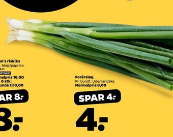 Netto Forårsløg tilbud