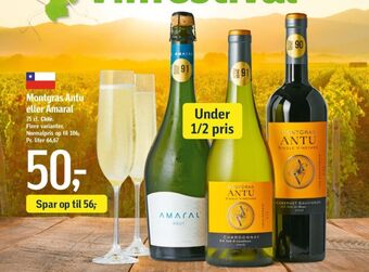 Føtex Ukendt chilensk rødvin tilbud