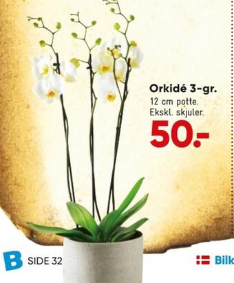 Bilka Ukendt planter tilbud