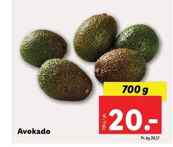 Lidl Avokado tilbud