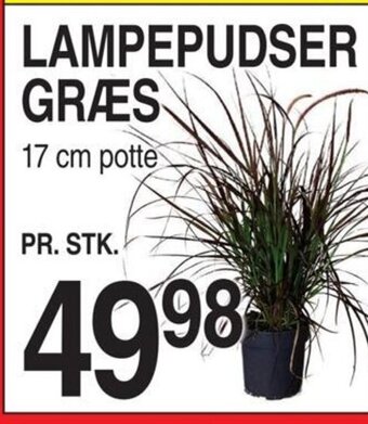 ABC Lavpris LAMPEPUDSER GRÆS tilbud