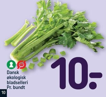 REMA 1000 Dansk økologisk bladselleri Pr. bundt tilbud