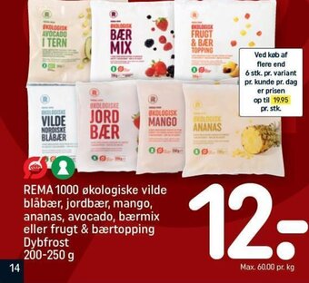 REMA 1000 REMA 1000 økologiske vilde blåbær, jordbær, mango, ananas, avocado, bærmix eller frugt & bærtopping Dybfrost 200-250 g tilbud