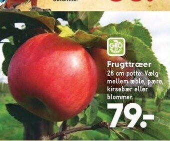 Bilka Frugttræer tilbud